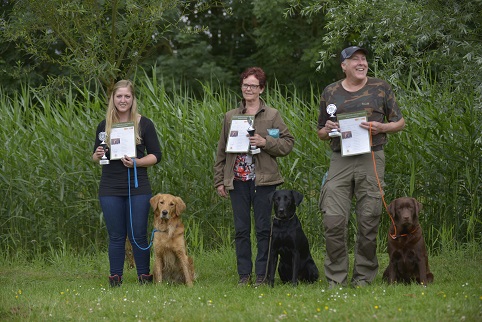 2015 CD 3 B klasse