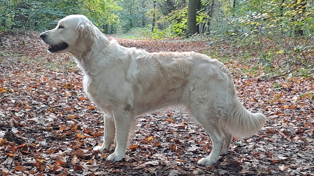 107273356 11202807 20251018 125133 staande foto maddie