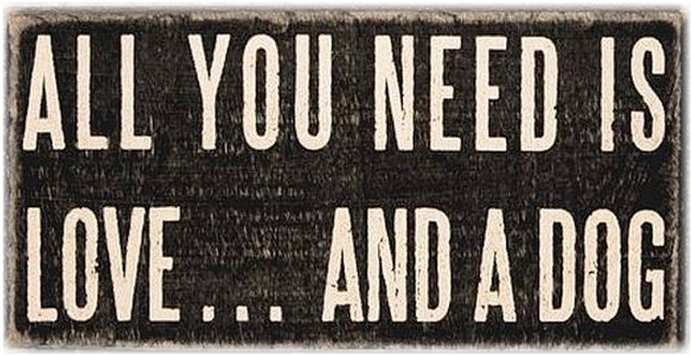 AllYouNeed